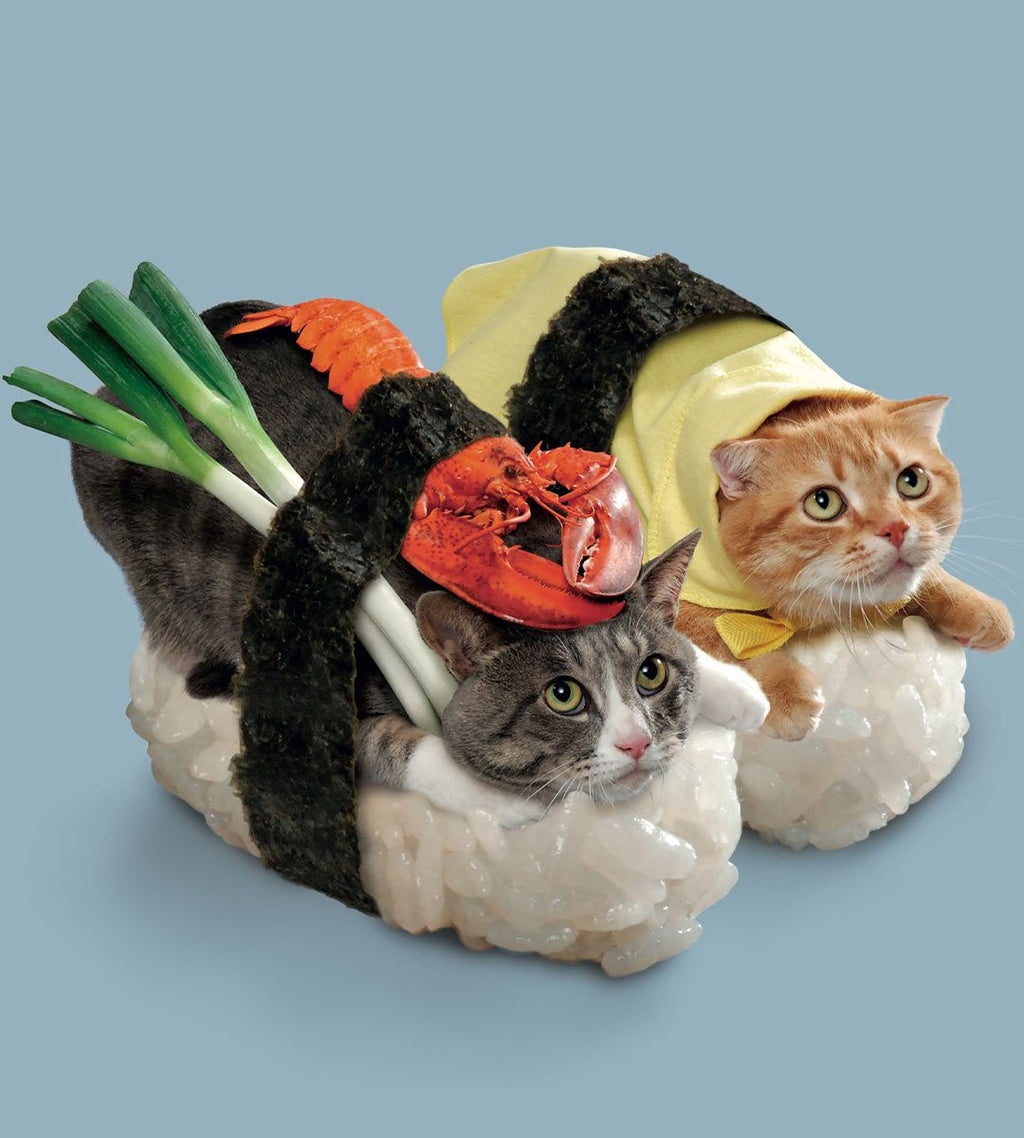 Land of the Rising Cat - Japan's Feline Fascination