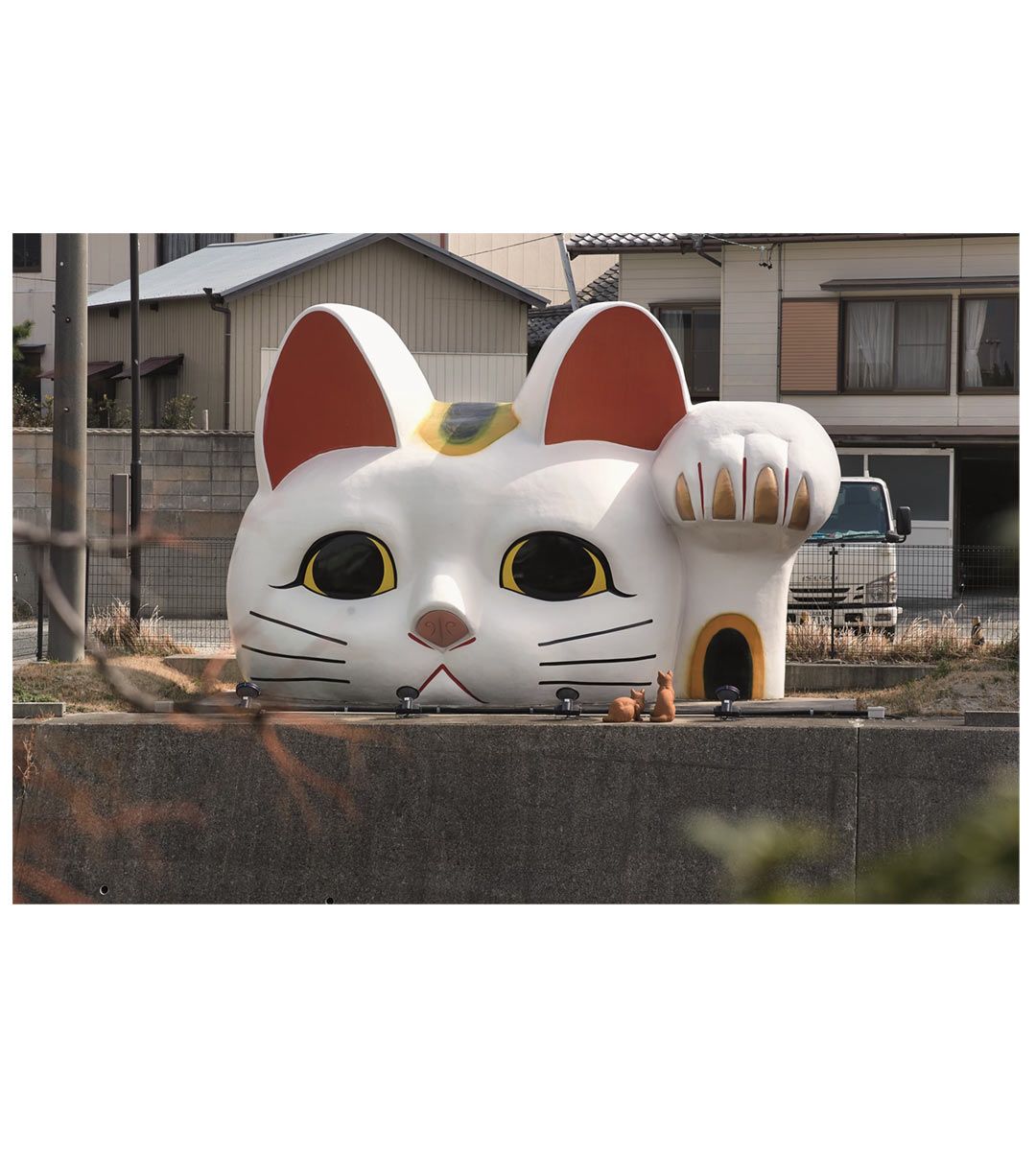 Land of the Rising Cat - Japan's Feline Fascination
