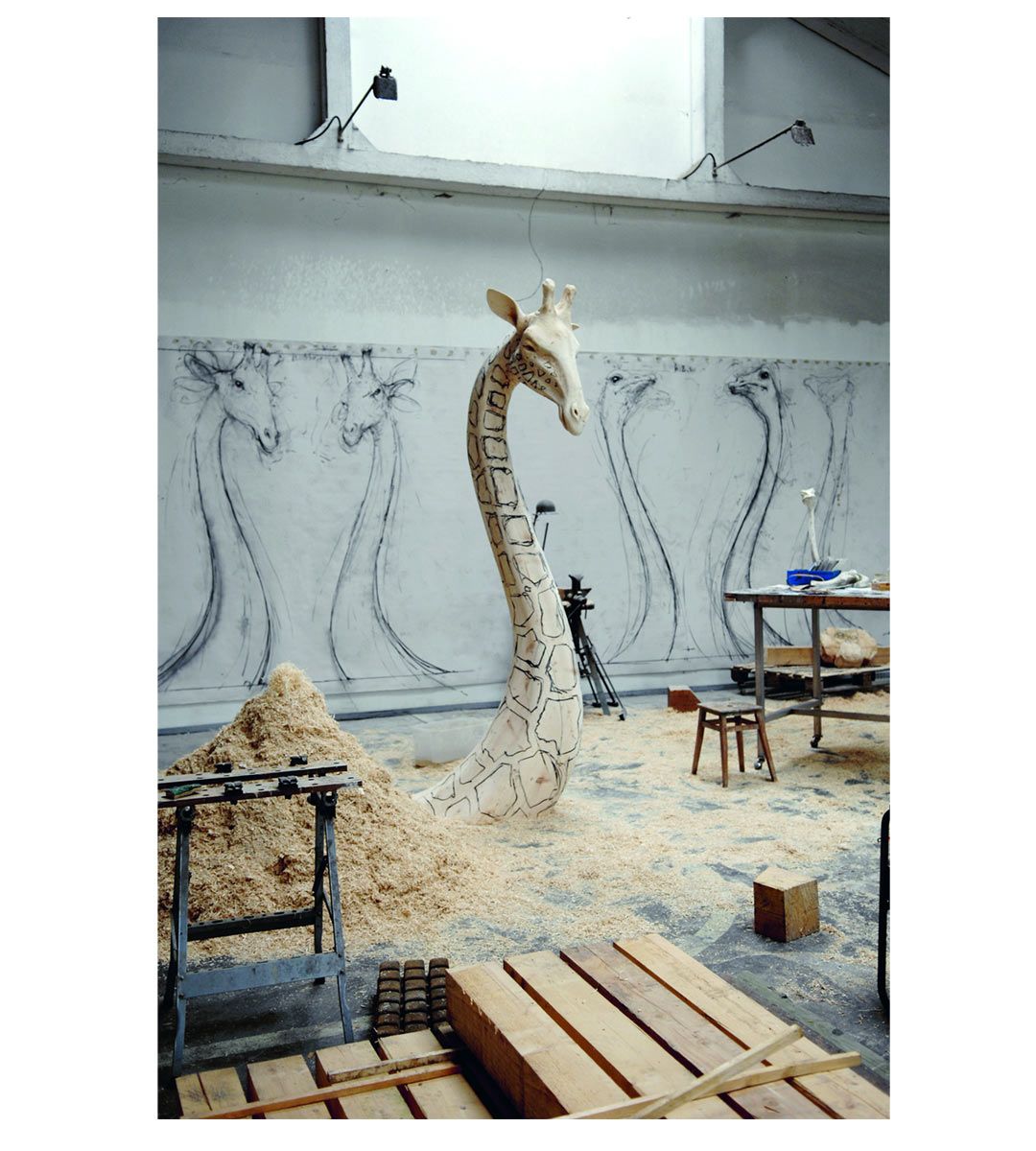 Quentin Garel - Monographie