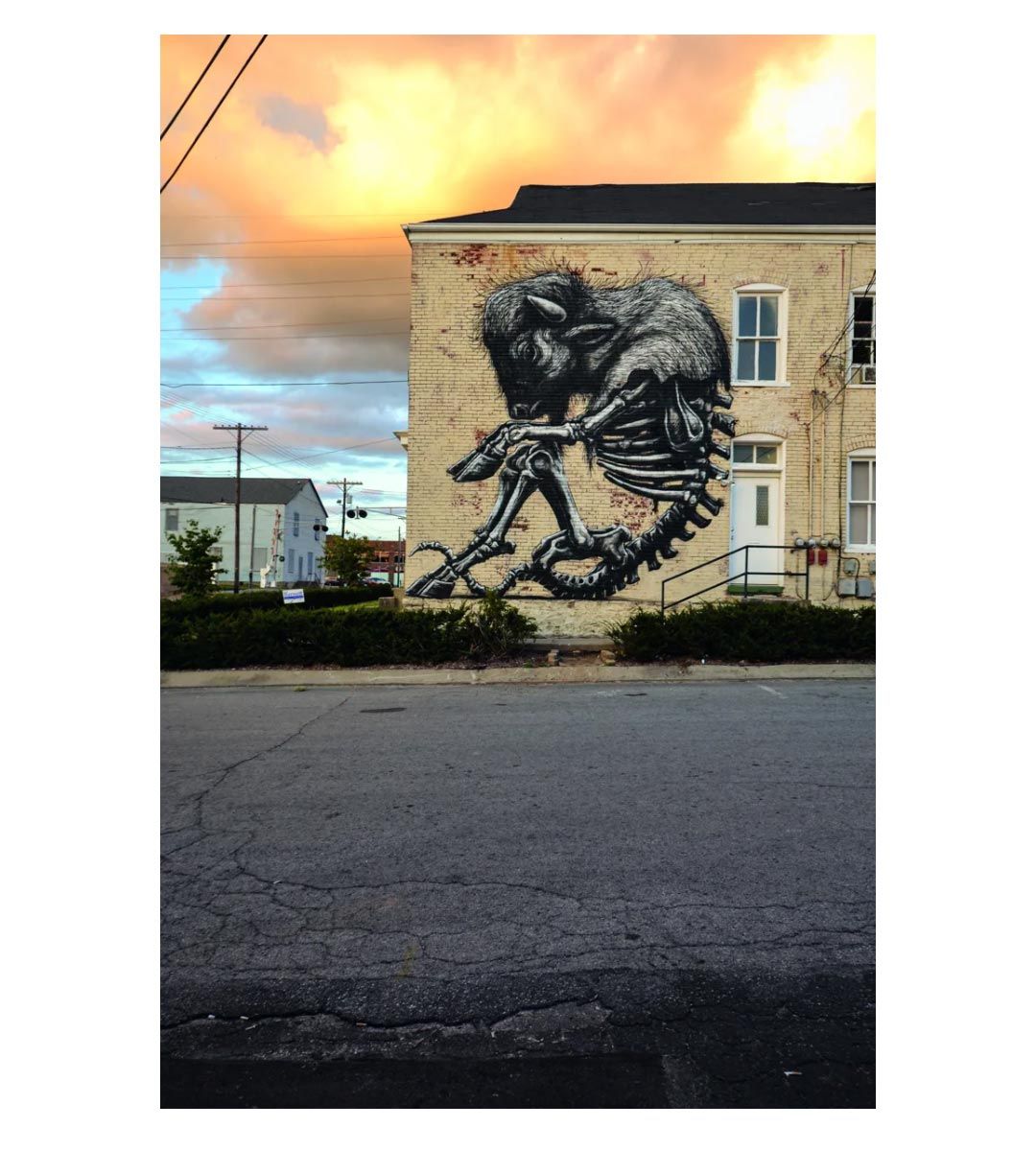 Roa - Codex