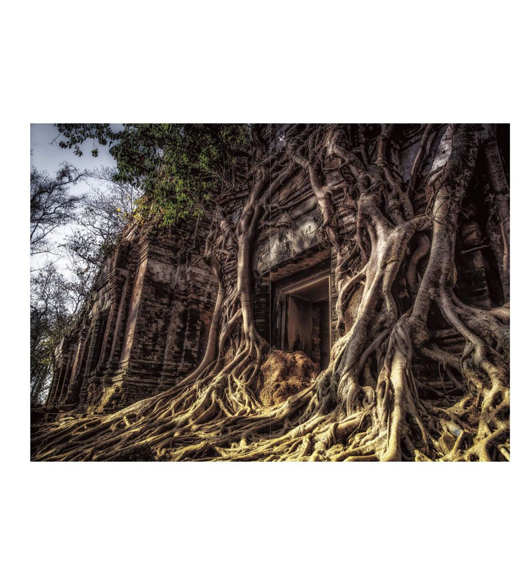 Gateway to another world - Shimizu Daisuke
