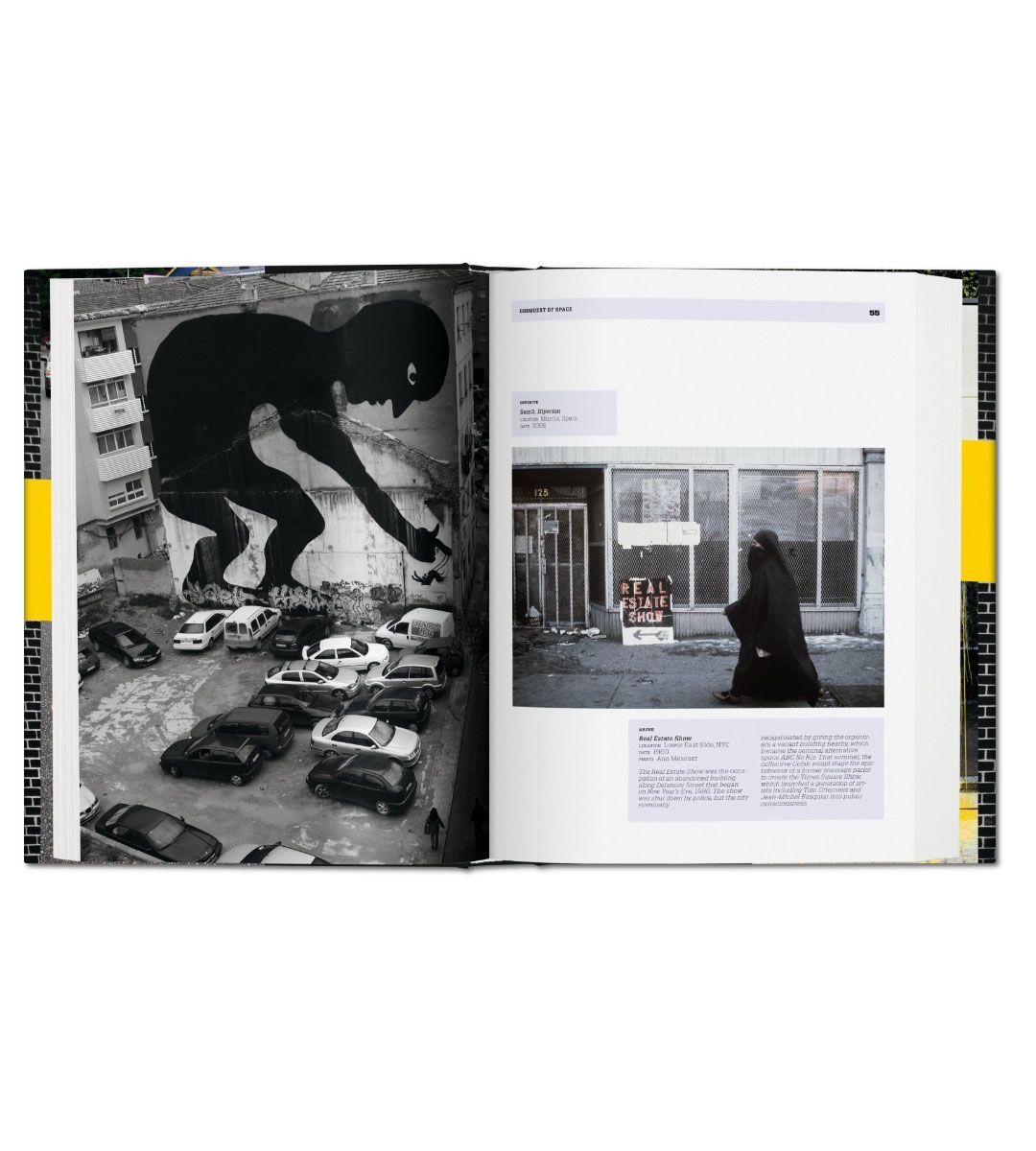 Trespass, histoire de l'art urbain illicite