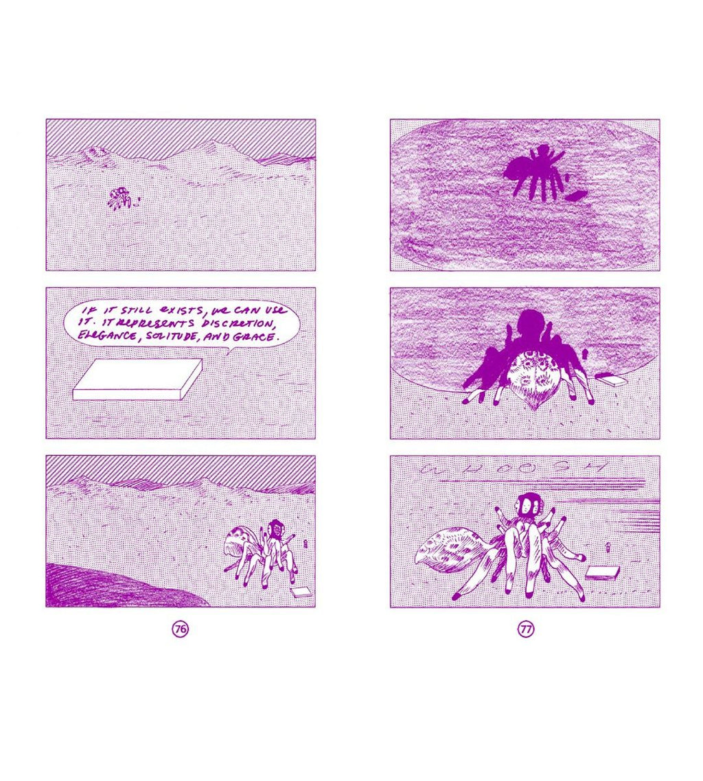 William Softkey and the Purple Spider  - CF
