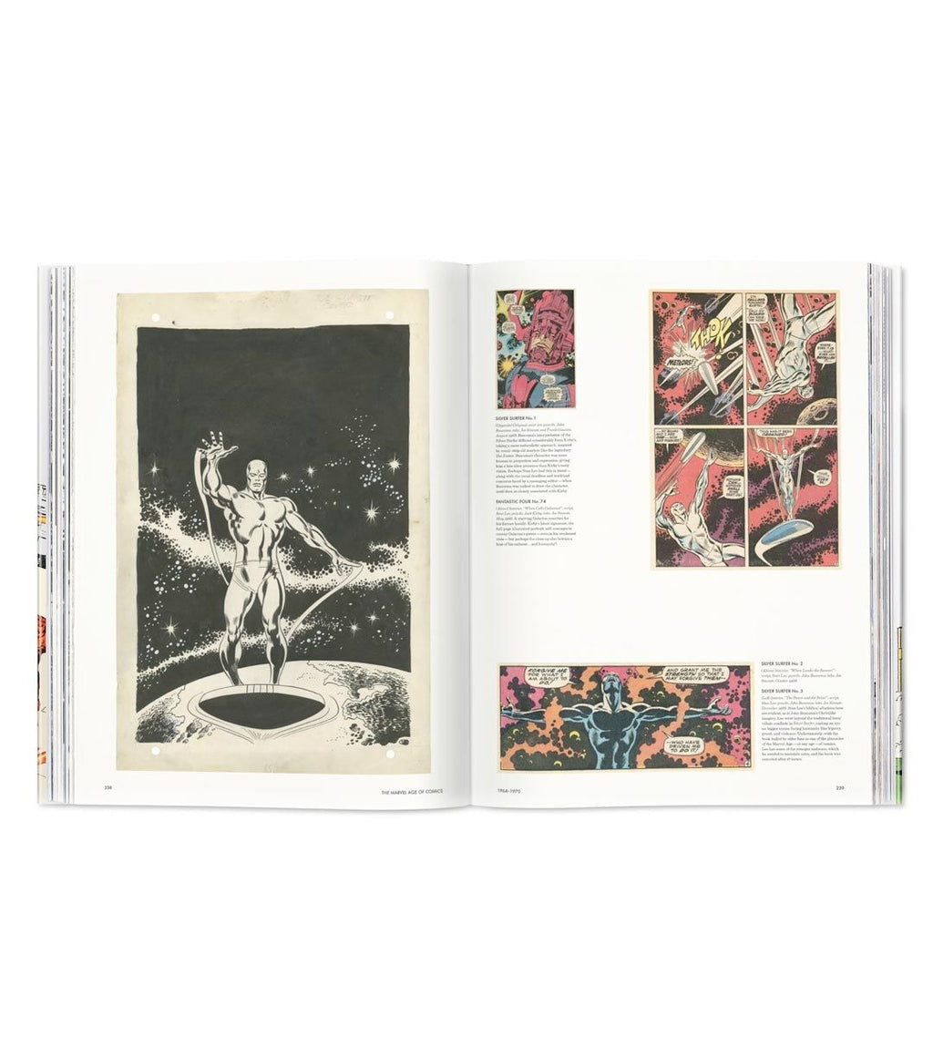 L'ère des comics Marvel 1961-1978 40th Anniversary Edition