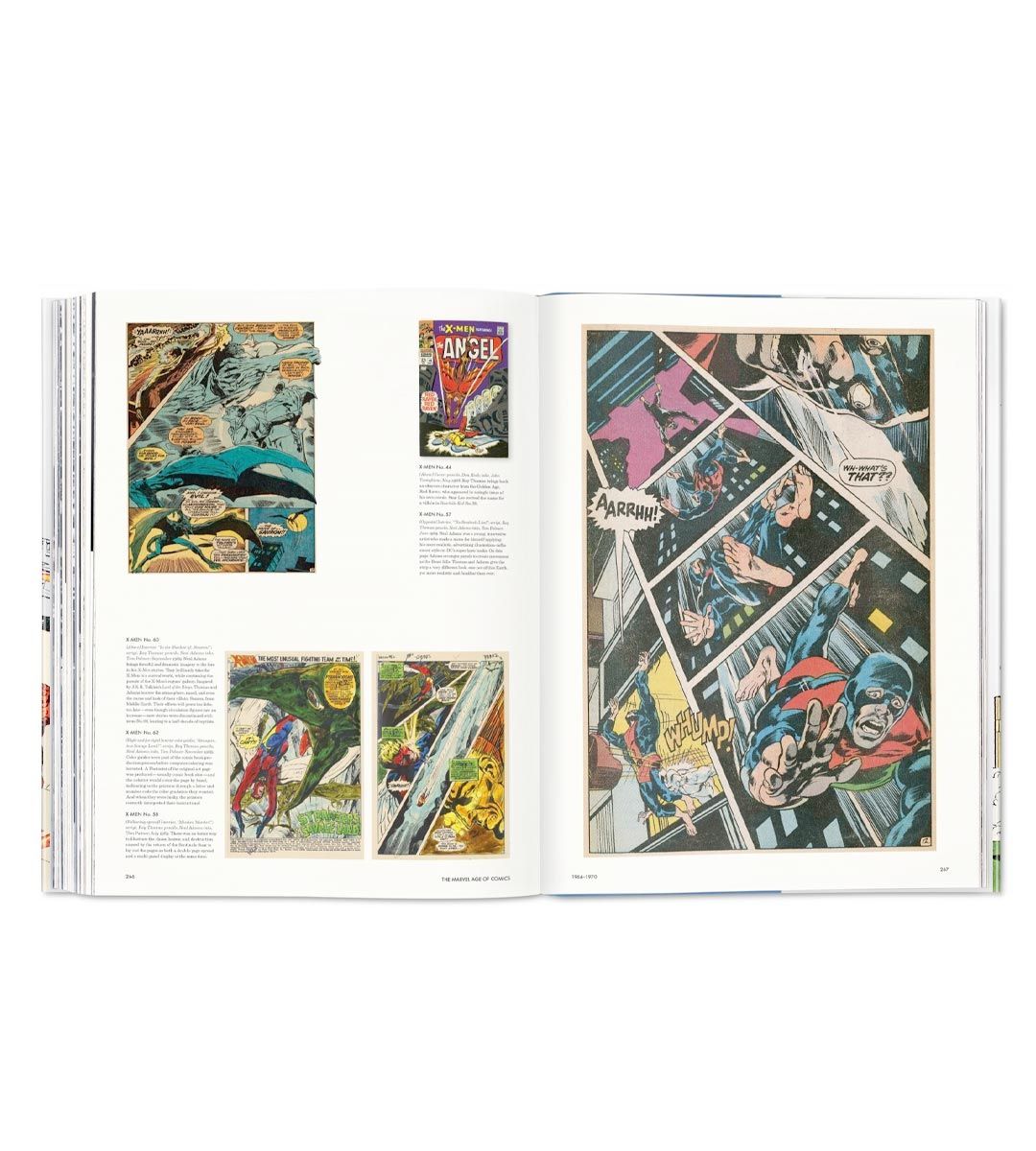 L'ère des comics Marvel 1961-1978 40th Anniversary Edition