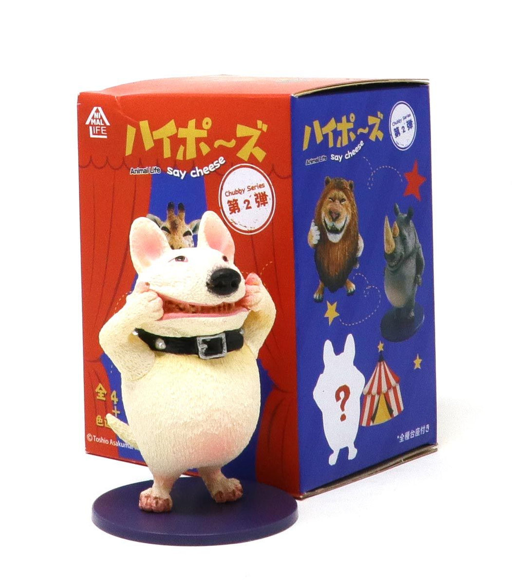 Chubby Series 2 - Say Cheese (Animal Life)