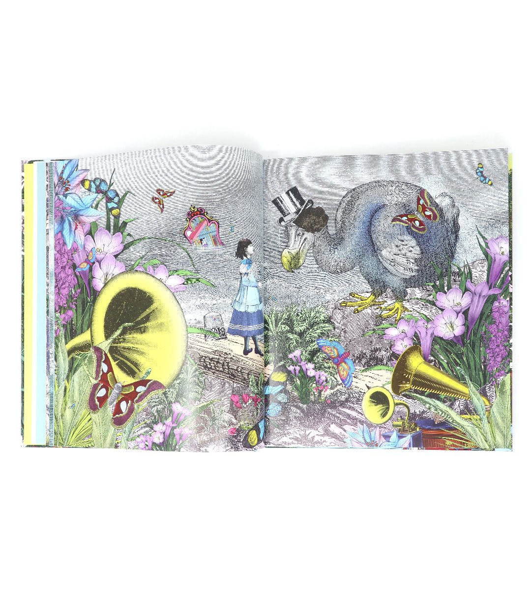 Alice, curiouser and curiouser