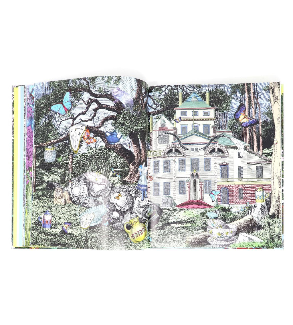 Alice, curiouser and curiouser