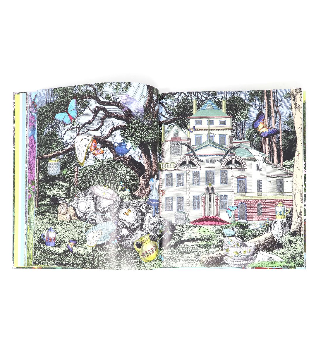 Alice, curiouser and curiouser