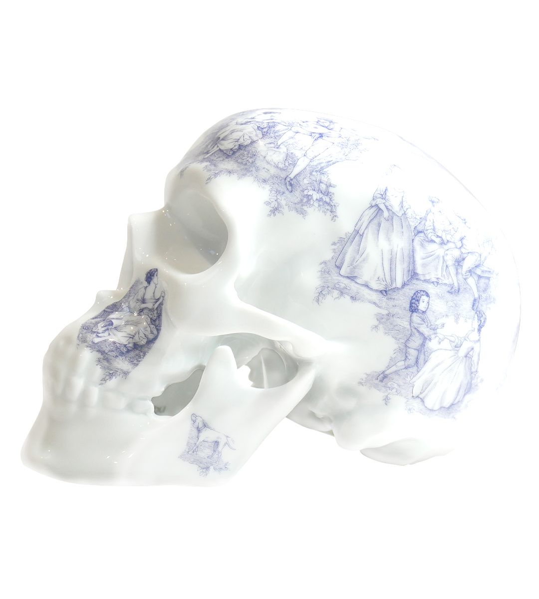 Skull TJ Blue- Noon