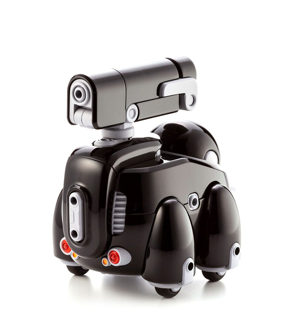 Tamotu Plastic Model Kit 1/12 Black Version