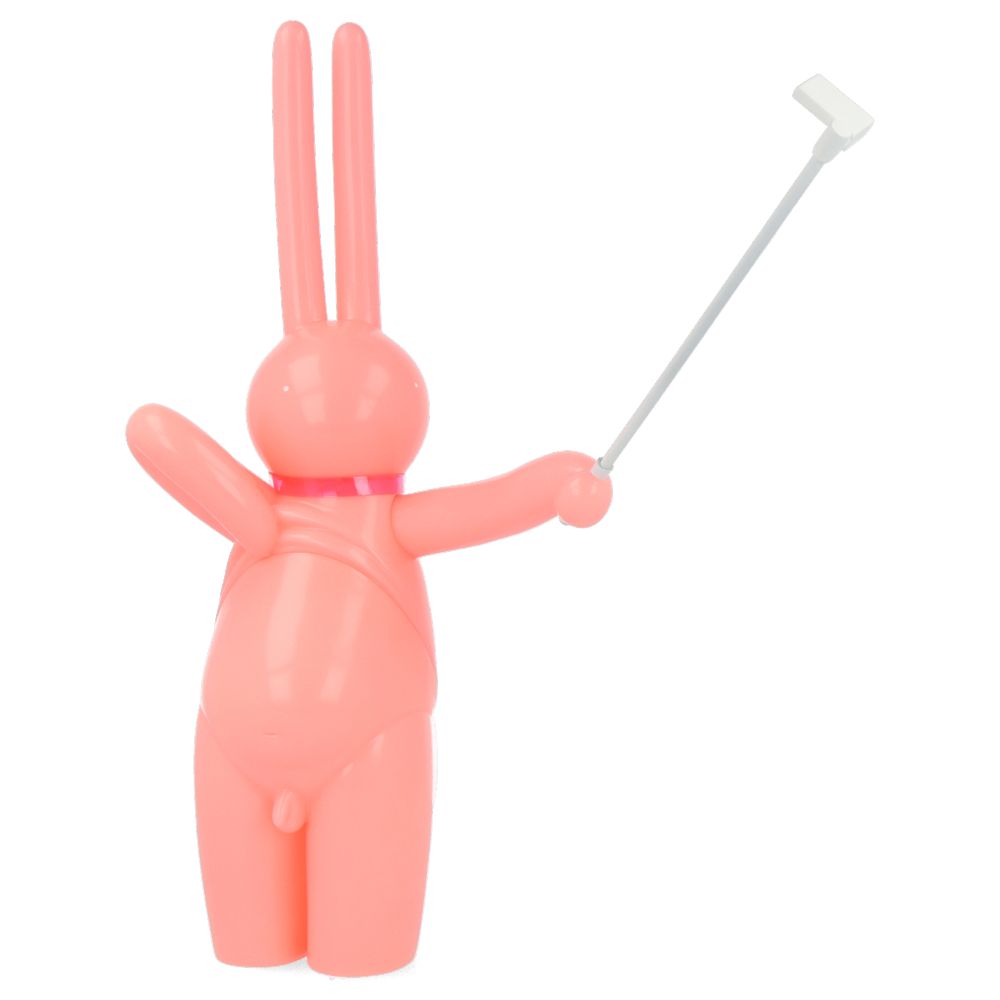 The Daily Flasher by mr clement - Pink Ver