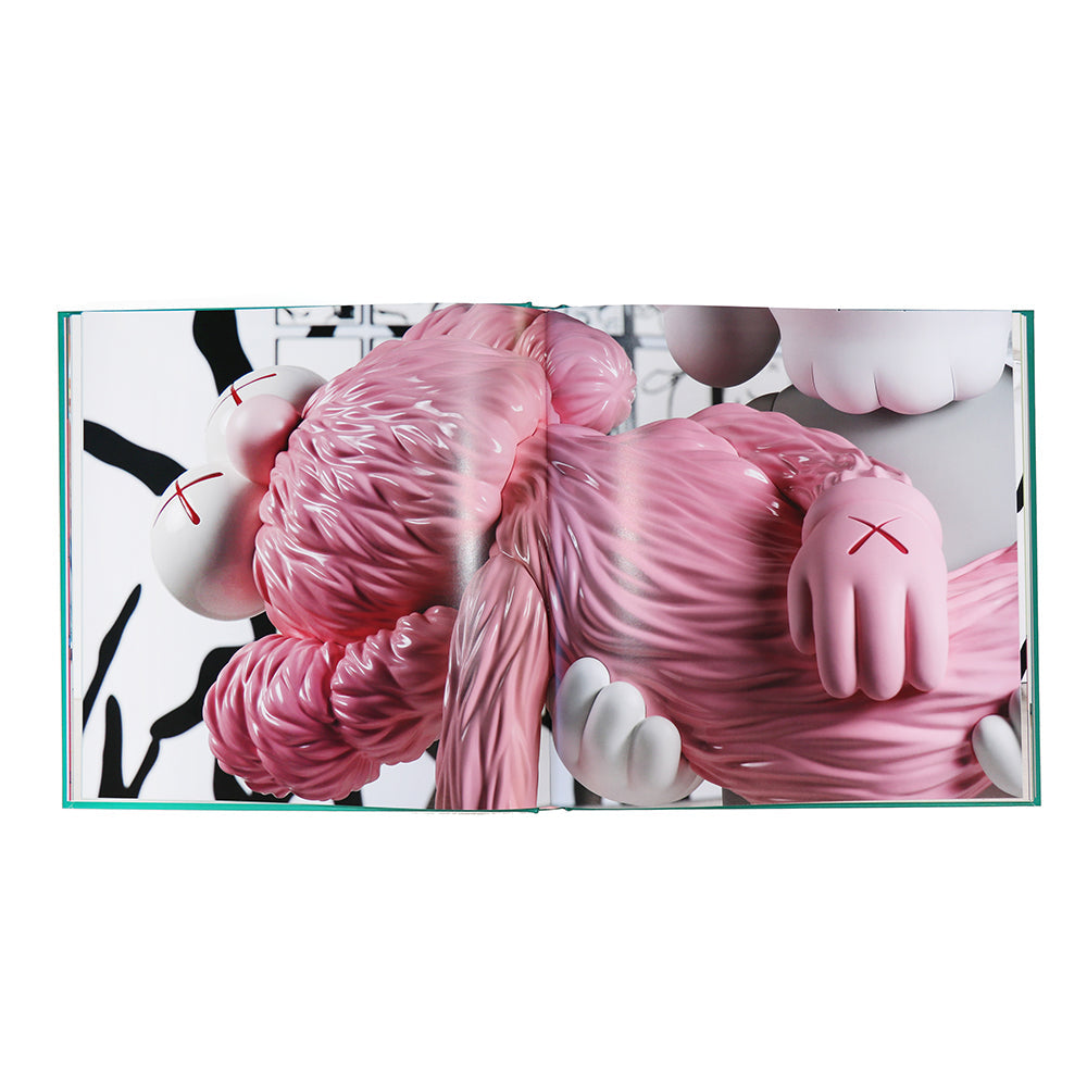 Kaws : Family
