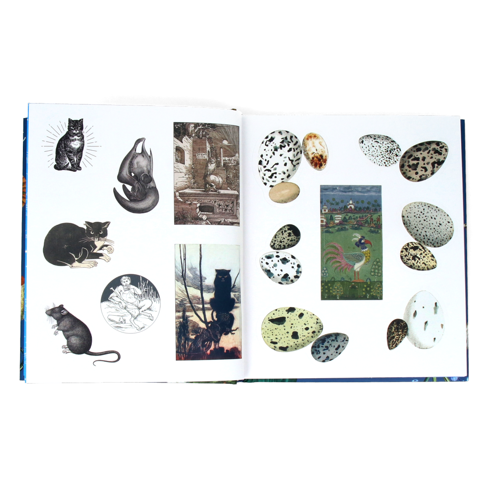 The Sticker Treasury of the Mystical and Esoteric