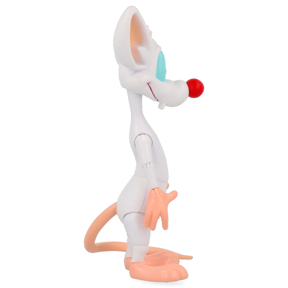 Pinky - Animaniacs Ultimates