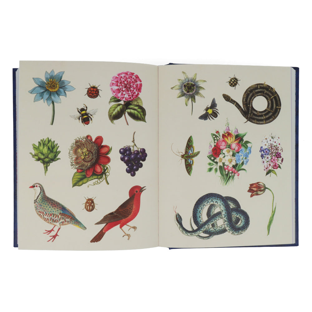 The Antiquarian Sticker Book