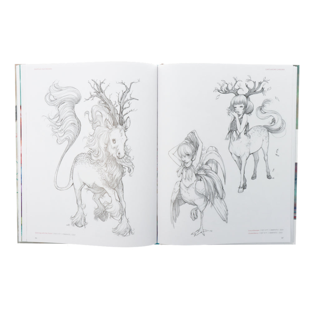 Dappled Daydreams : The Art of Camilla d'Errico