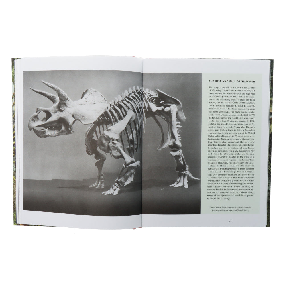 Dinosaurs are collectible