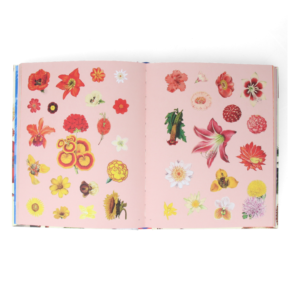 Extraordinary Things Sticker Book