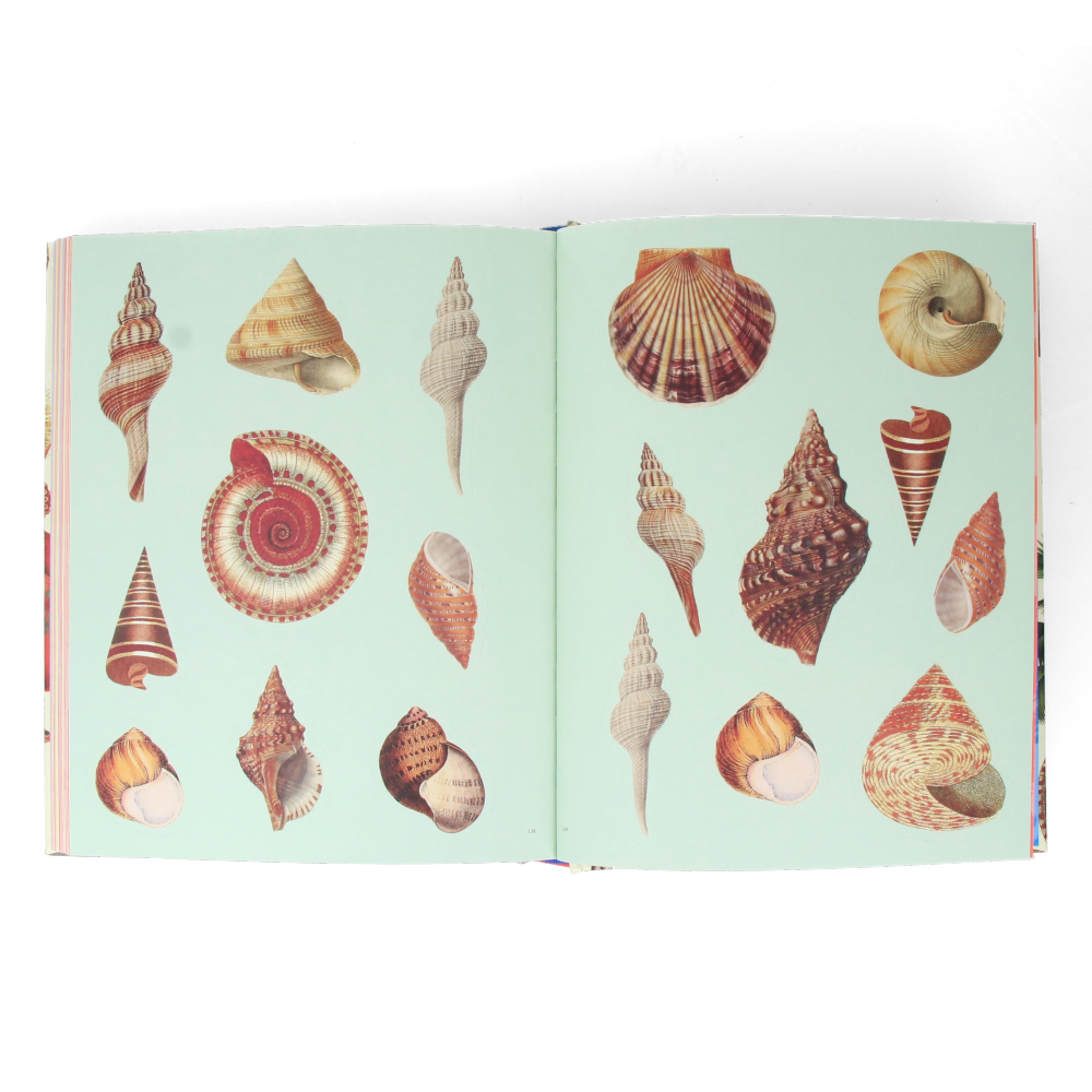 Extraordinary Things Sticker Book