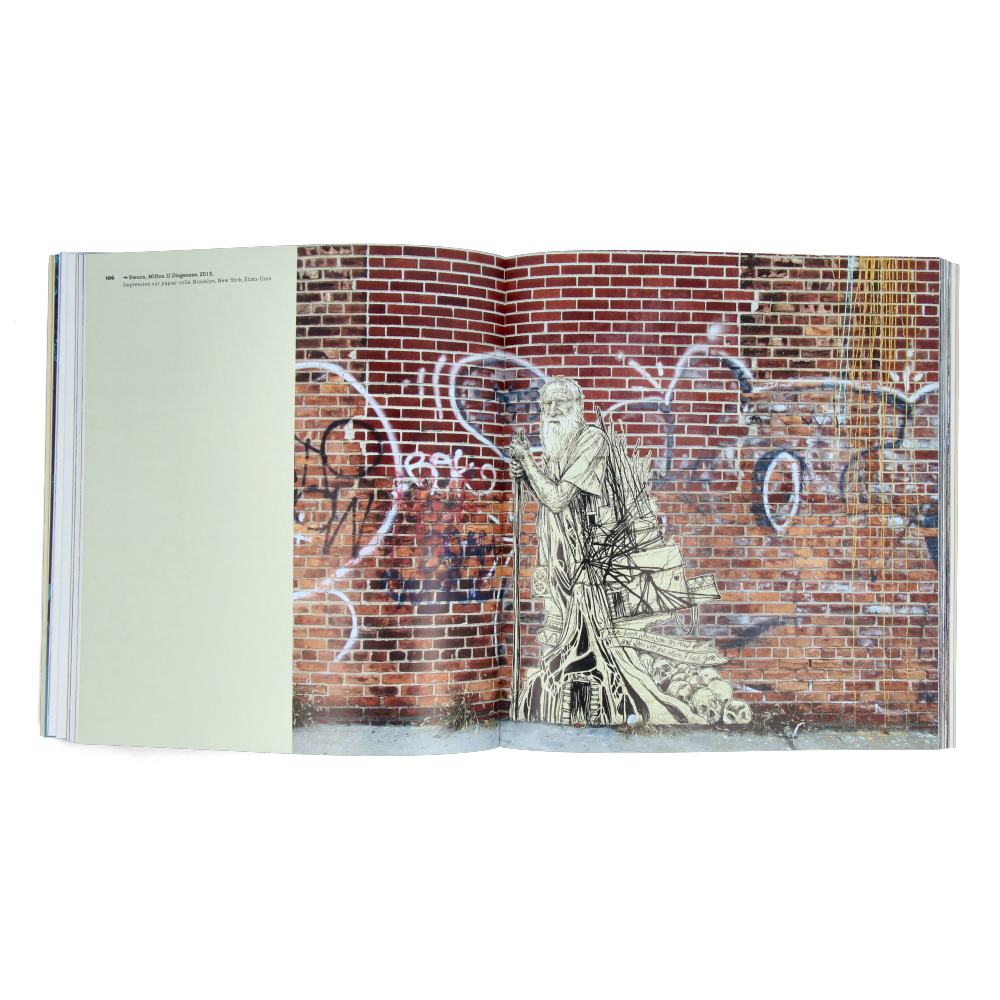 Faces au Mur - Le Portrait dans l'Art Urbain