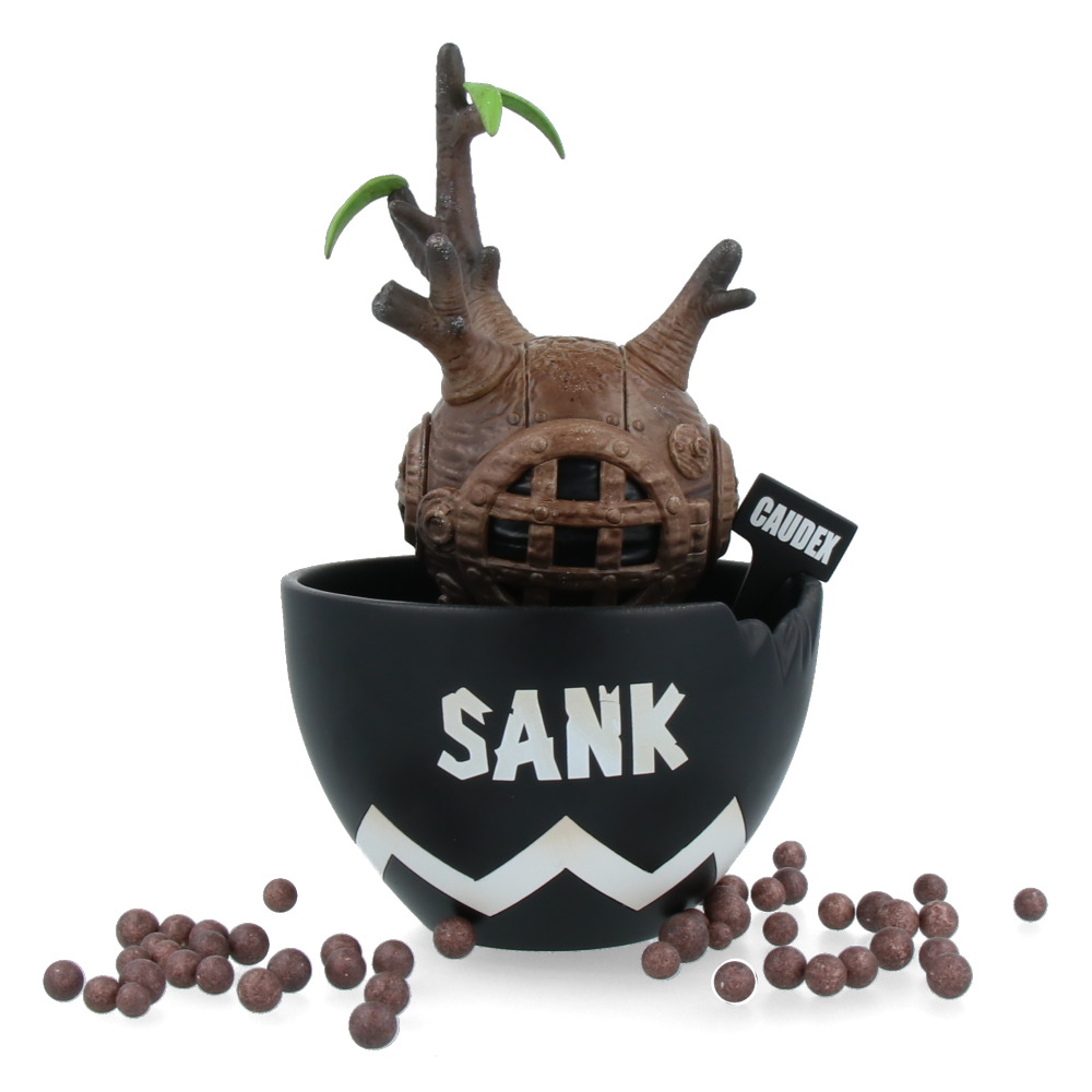 Sank Fantastic Caudex black
