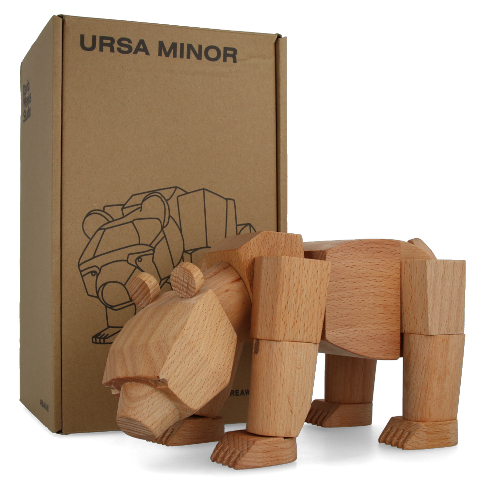Ursa Minor